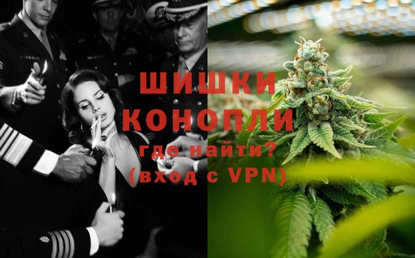 PSILOCYBIN Сосновый Бор