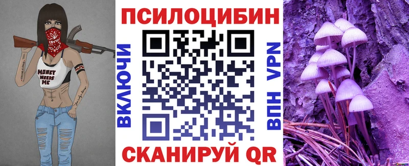 где купить   Гатчина  Галлюциногенные грибы MAGIC MUSHROOMS 