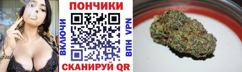где найти наркотики Гатчина Бошки марихуана семена